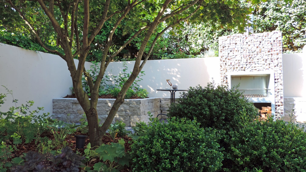 Hochgeasteter Solitärbaum, immergrüne Kugelgehölze und verspielte Blumen - Gartenarchitektur mit Struktur und Leichtigkeit