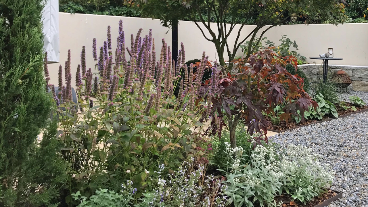 Herbstaspekt einer blühenden Staudenmischung - ein lebendiger Garten voller Summen und Blüten